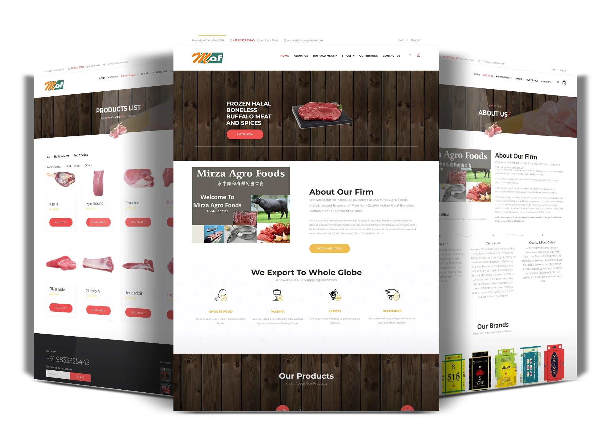 Web Application Development Dubai 55 mirzaagrofoods