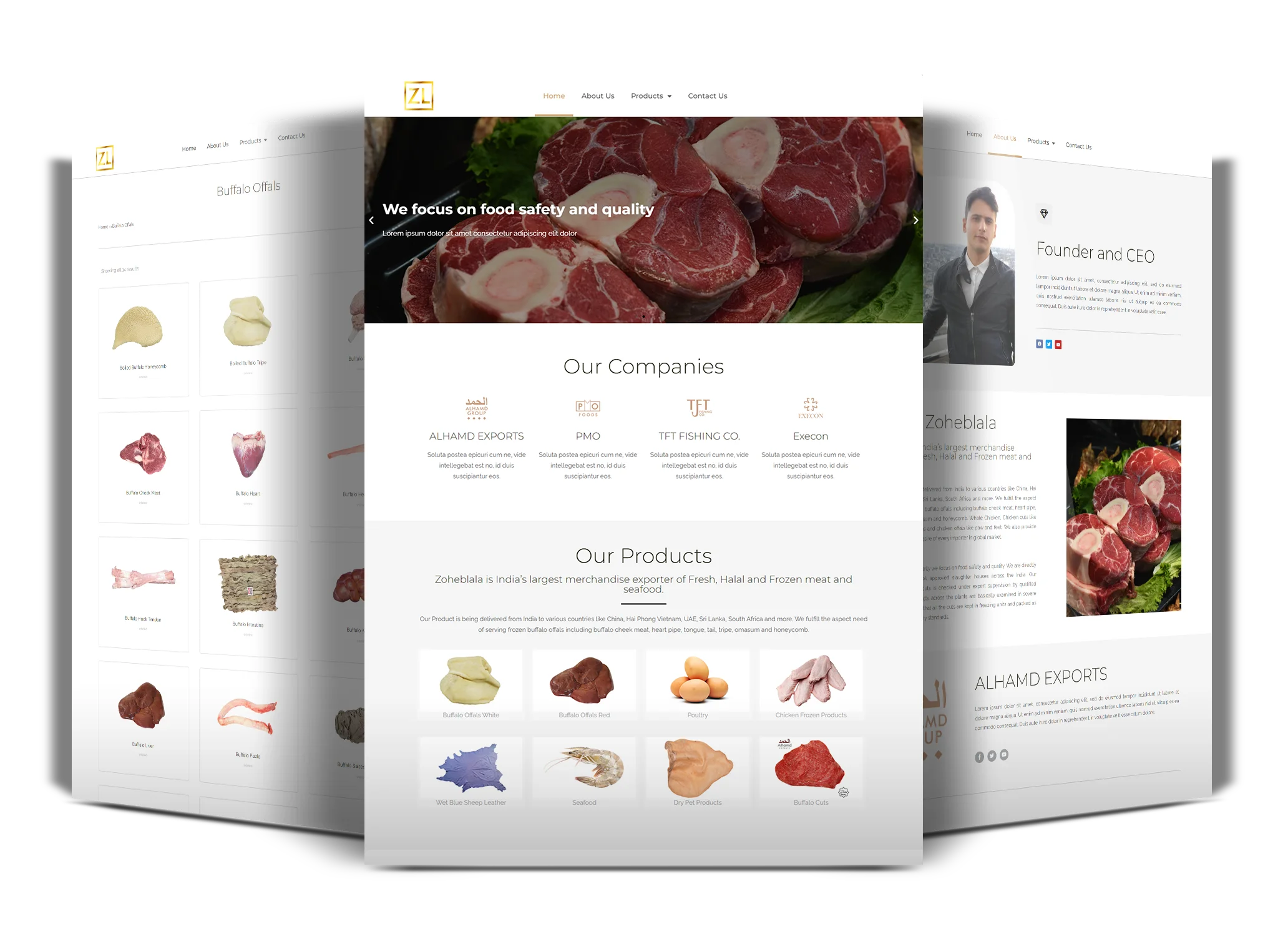 Web Application Development Dubai 58 zoheblala