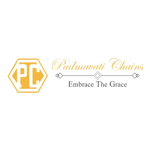 Best Digital Marketing Company In Dubai 17 29 Padmavati Chains