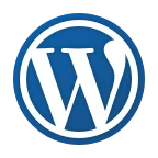 Ecommerce Website Development In Dubai 11 wordpress